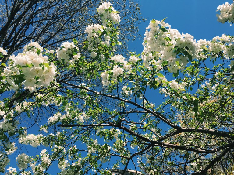 Processed with VSCO with c1 preset