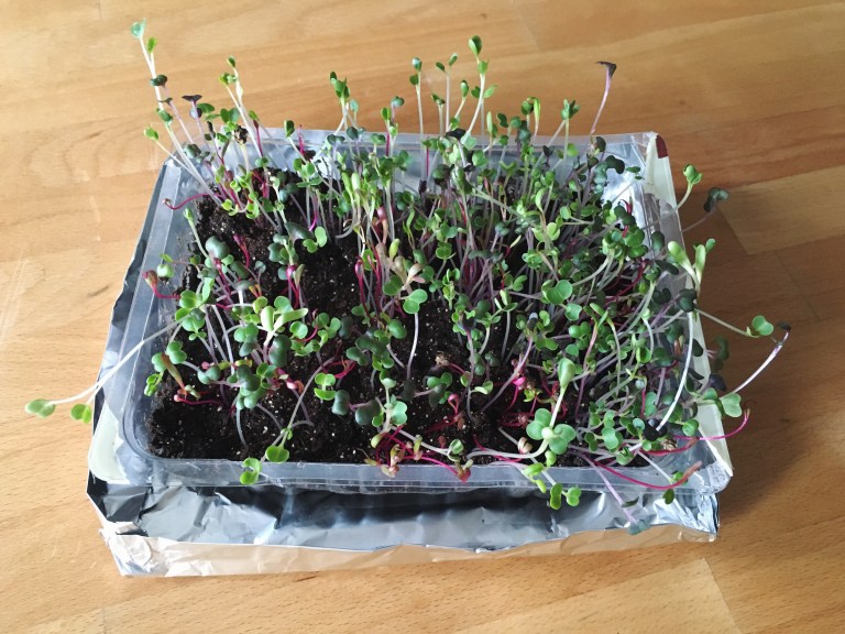 Processed with VSCO with f2 preset