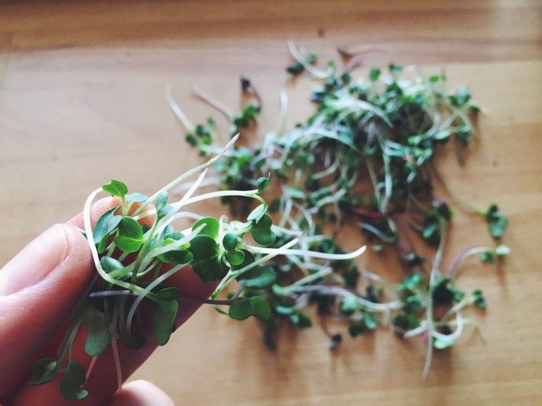 Processed with VSCO with f2 preset