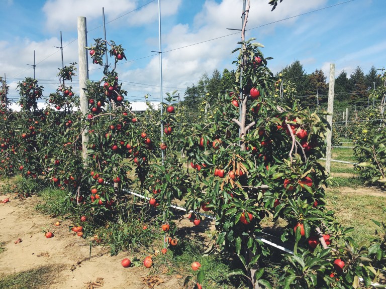 Processed with VSCO with f2 preset