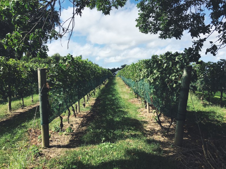 Processed with VSCO with f2 preset