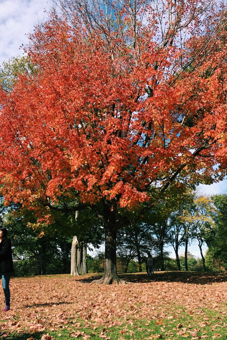 Processed with VSCO with c1 preset